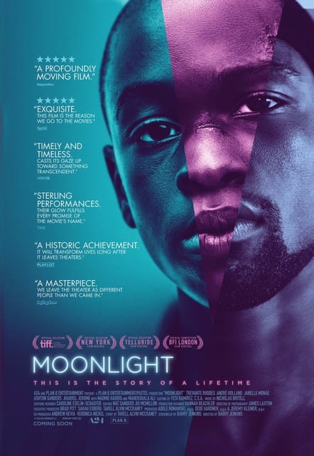 moonlight.jpeg