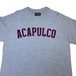 ＡＣＡＰＵＬＣＯ　ＧＯＬＤ　／　ＡＲＣ　ＲＡＧＬＡＮ　ＬＯＮＧ　ＳＬＥＥＶＥ　ＴＥＥ　（ＧＲＥＹ）