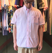 ＰＯＬＯ　ＲＡＬＰＨ　ＬＡＵＲＥＮ　／　ＳＴＲＩＰＥ　ＳＥＥＲＳＵＣＫＥＲ　ＳＨＩＲＴ　（ＰＩＮＫ）