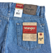 ＷＲＡＮＧＬＥＲ　／　ＤＥＮＩＭ　ＳＨＯＲＴＳ　（ＬＩＧＨＴ　ＳＴＯＮＥ　ＷＡＳＨ）