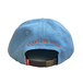 ＡＣＡＰＵＬＣＯ　ＧＯＬＤ　／　ＡＧ　ＡＬＬ　ＣＯＮＤＩＴＩＯＮＳ　６ＰＡＮＥＬ　ＣＡＰ　（ＤＥＮＩＭ）