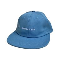 NOTHIN' SPECIAL / FORTUNE 6 PANEL CAP (CYAN)