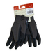 ＴＨＥ　ＮＯＲＴＨ　ＦＡＣＥ　／　ＤＥＮＡＬＩ　ＥＴＩＰ　ＧＬＯＶＥ