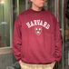 ＩＶＹ　ＳＰＯＲＴ　／　ＨＡＲＶＡＲＤ　ＣＲＥＳＴ　ＳＷＥＡＴ　ＳＨＩＲＴ