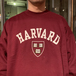 ＩＶＹ　ＳＰＯＲＴ　／　ＨＡＲＶＡＲＤ　ＣＲＥＳＴ　ＳＷＥＡＴ　ＳＨＩＲＴ