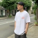 ＷＡＣＫ　ＷＡＣＫ　／　ＭＹ　ＢＯＹ　”ＡＤＵＬＴ　ＯＮＬＹ”　Ｔｅｅ　（ＡＳＨ）