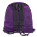 ＰＡＣＫＩＮＧ　／　ＤＡＹ　ＢＡＣＫＰＡＣＫ　（ＰＵＲＰＬＥ）