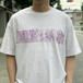 ＢＥＤＬＡＭ　／　ＧＩＢＯ　ＴＥＥ　（ＡＳＨ）