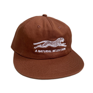 Brother Brother / Natural SelectionCap (Brown)