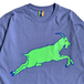 ＢＥＤＬＡＭ　／　Ｇｏａｔ　Ｔｅｅ　（Ｂａｂｙ　Ｂｌｕｅ）