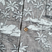 ＲＪＣ　／　Ｃｏｔｔｏｎ　Ａｌｏｈａ　Ｓｈｉｒｔ　（Ｃｈａｒｃｏａｌ）