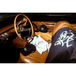 Ｇｅｔｔｙ　Ｃｅｎｔｅｒ　Ｍｕｓｅｕｍ　／　Ｌ．Ａ．　Ｇｒａｆｆｉｔｉ　Ｂｌａｃｋ　Ｂｏｏｋ　Ｃｏｒｄｕｒｏｙ　Ｂｕｃｋｅｔ　Ｈａｔ